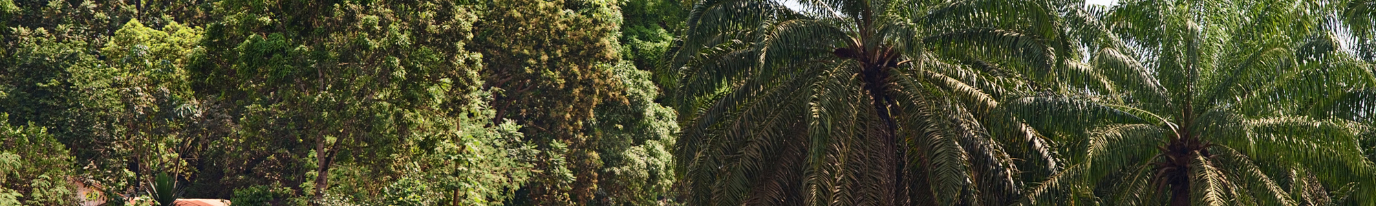 Liberia